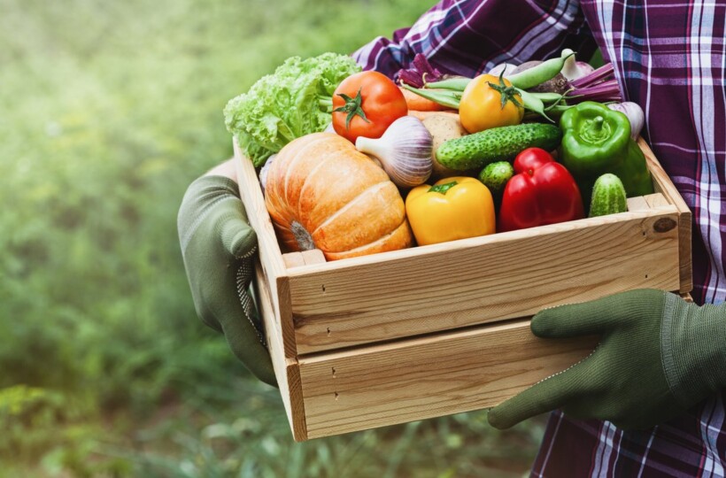 Raons per a consumir productes ecològics