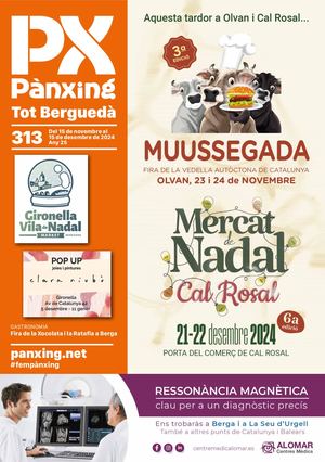 Pànxing tot Berguedà 313