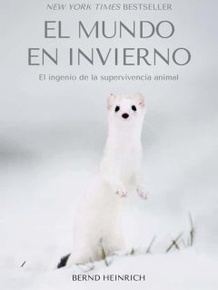 el mundo en invierno